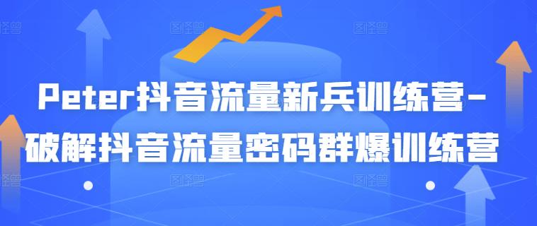 1654470979 Peter抖音流量新兵训练营 破解抖音流量密码群爆训练营（新兵）