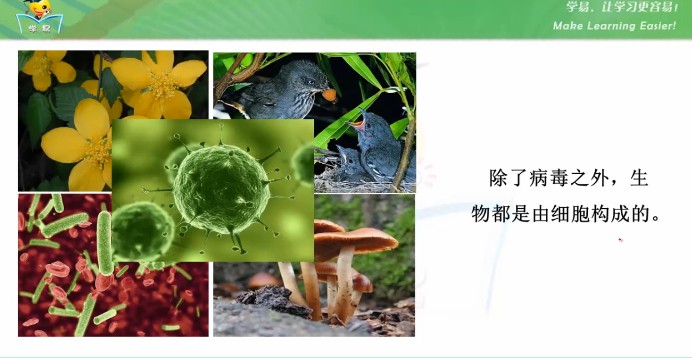 1655350278 学科网名师微课堂初中七年级生物教学视频（初一）