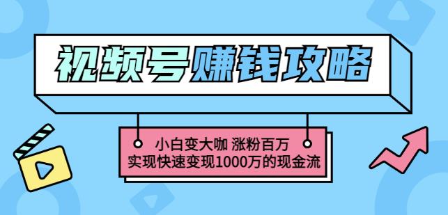 1656723740 玩转微信视频号赚钱：小白变大咖涨粉百万实现快速变现1000万的现金流