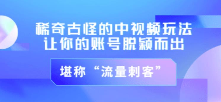 1657932170 不讲李·稀奇古怪的冷门中视频冷门玩法，让你的账号脱颖而出，成为流量刺客！（图文视频）