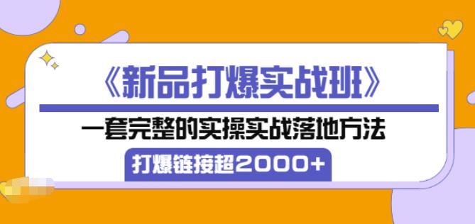 1658079127 凌童《新品打爆实战班》一套完整的实操实战落地方法，打爆链接超2000（28节课