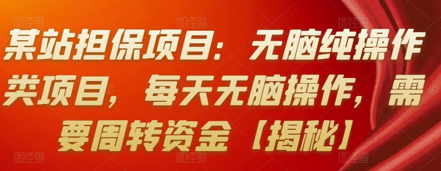 1658969360 某站担保项目：无脑纯操作类项目，每天无脑操作，需要周转资金【揭秘】