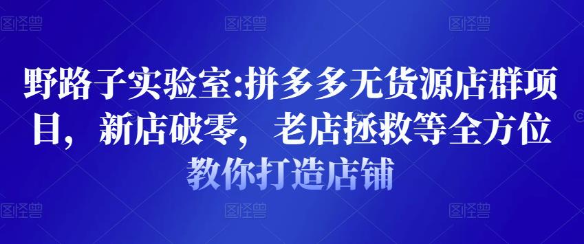 1657932132 野路子实验室 拼多多无货源店群项目，新店破零，老店拯救等全方位教你打造店铺