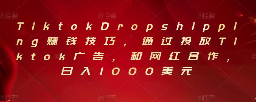 1658690417 Tiktok Dropshipping赚钱技巧，通过投放Tiktok广告，和网红合作，日入1000美元