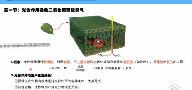 1658779050 海曼教育初一生物上学期课程