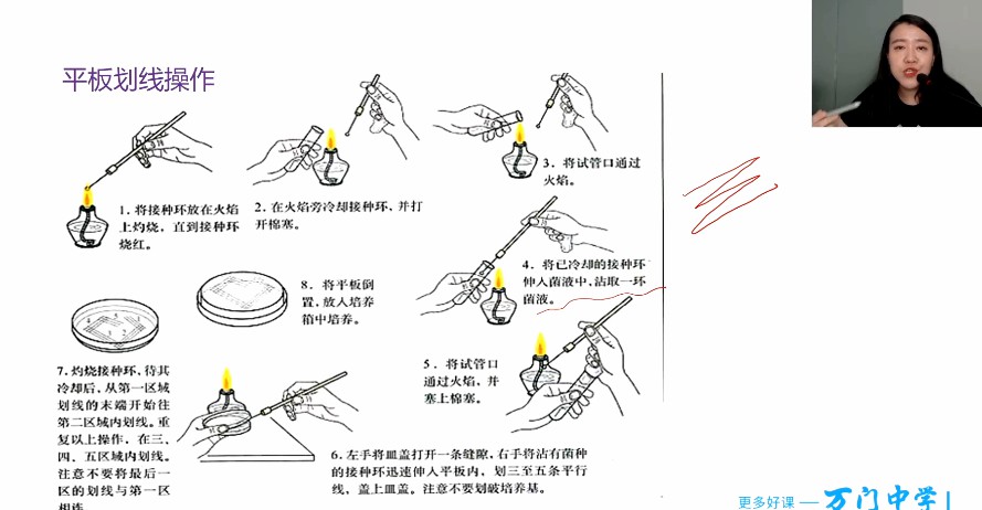 1659527060 万门中学 翟思茗 高中生物选修一基础串讲