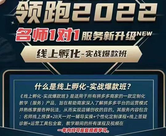 1659718501 牛气学堂老陶电商【第9期】，拼多多名师线上领跑28天，线上孵化 实战爆款班