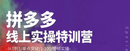 1660138964 青云拼多多运营实操特训营从0到1单点突破1 100带领实操价值2980元