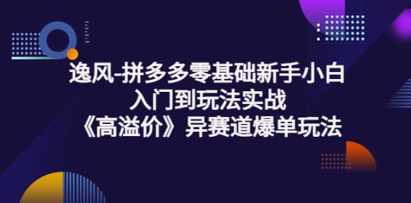 1660139009 逸风 拼多多零基础新手小白入门到玩法实战《高溢价》异赛道爆单玩法实操课