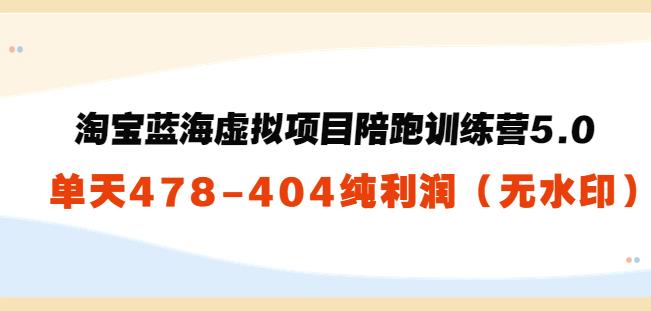 1660966493 黄岛主：淘宝蓝海虚拟项目陪跑训练营5.0：单天478纯利润（无水印）