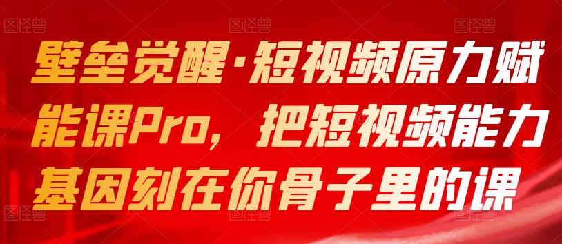 1661124229 壁垒觉醒·短视频原力赋能课Pro，把短视频能力基因刻在你骨子里的课