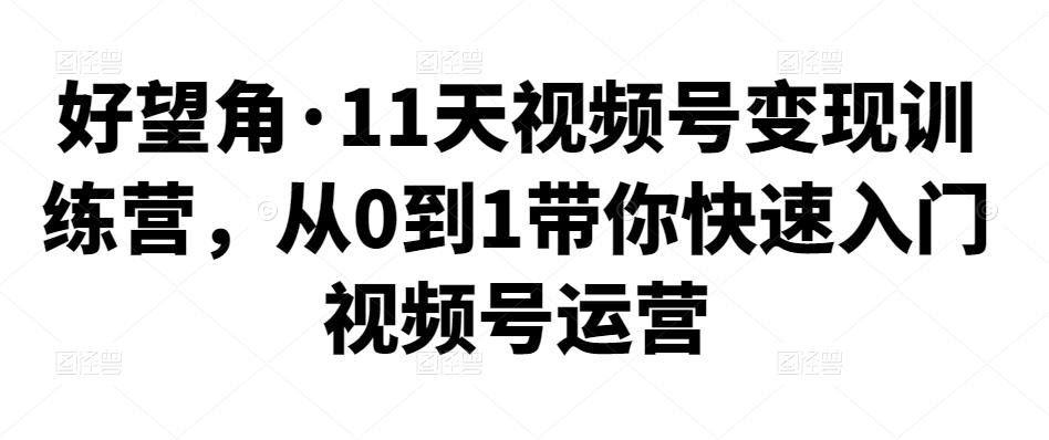 1661310720 好望角·11天视频号变现训练营，从0到1带你快速入门视频号运营