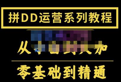 1661980651 2022全套拼多多核心实操课程，从0 1轻松起链接实战，低投入高产出运作店铺