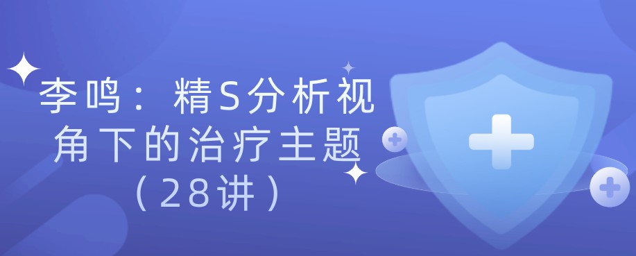 1637504533 李鸣：精S分析视角下的治疗主题（28讲）