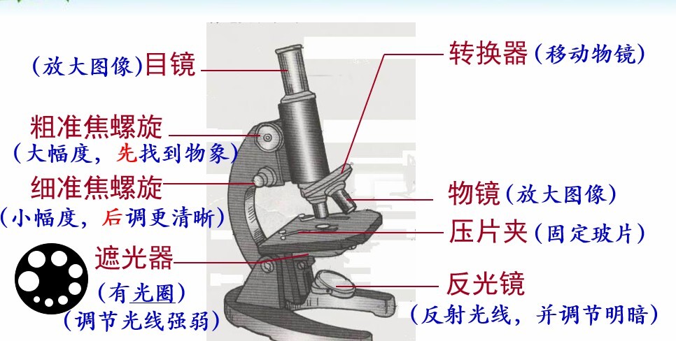 1652134504 中考生物复习Ppt课件