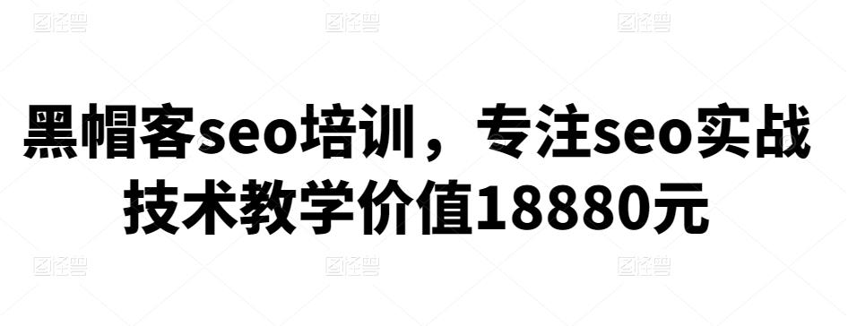 1662249534 黑帽客seo培训，专注seo实战技术教学价值18880元