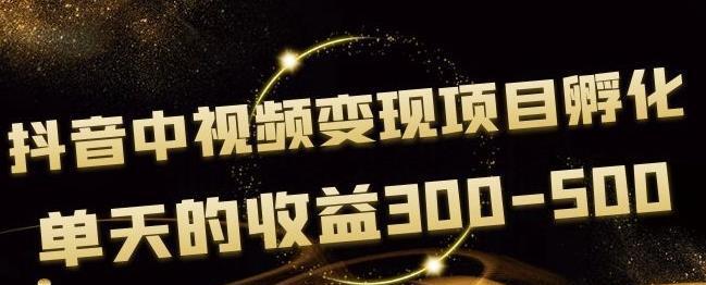 黄岛主抖音中视频变现项目孵化，单天的收益300-500操作简单粗暴