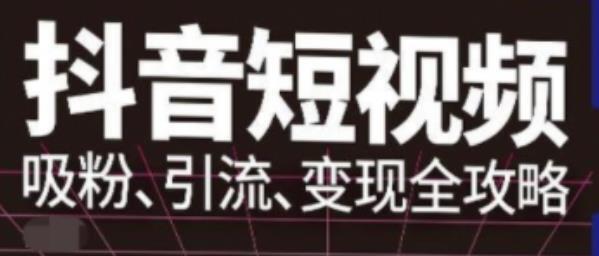 抖音视频号高级实操与理论课程：吸粉、引流、变现全攻略，从小号到大V的抖音运营精通手册