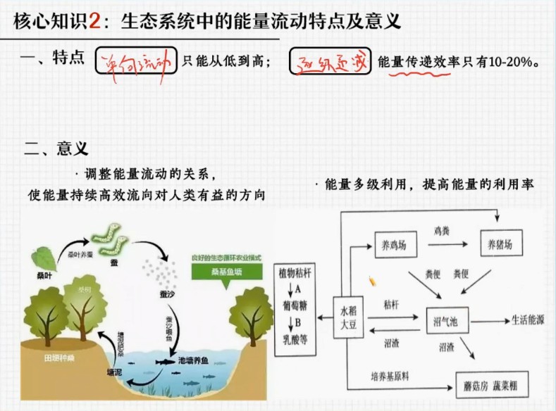 1643377037 邓康尧 高二生物2021年秋季尖端班