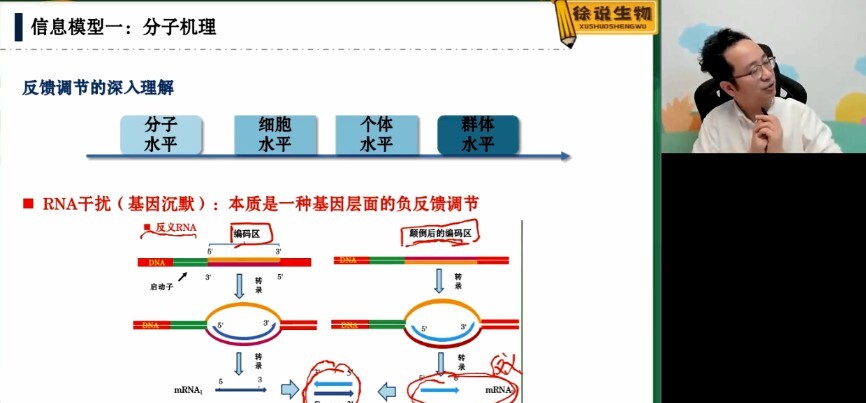 1646691718 徐京 高三生物2022年寒假班全国卷