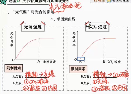 1645916213 段瑞莹 高三生物2022年寒假尖端班