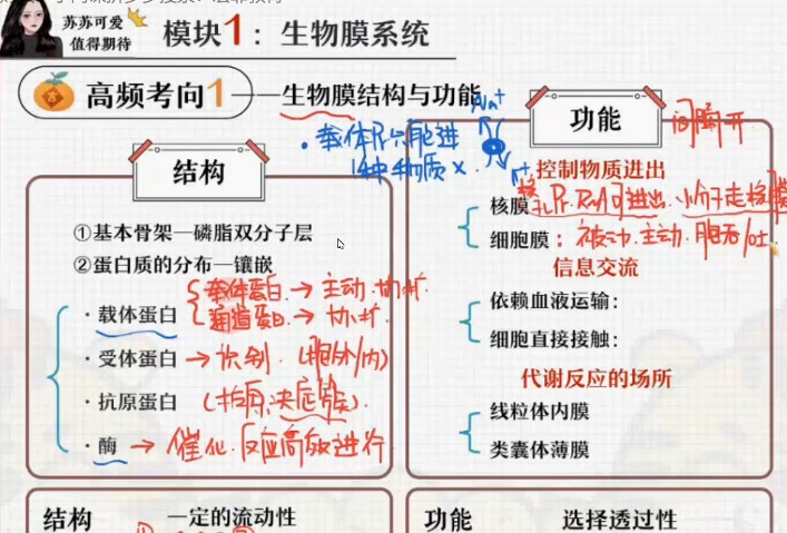 1645916226 苏萧伊 高三生物2022年寒假尖端班