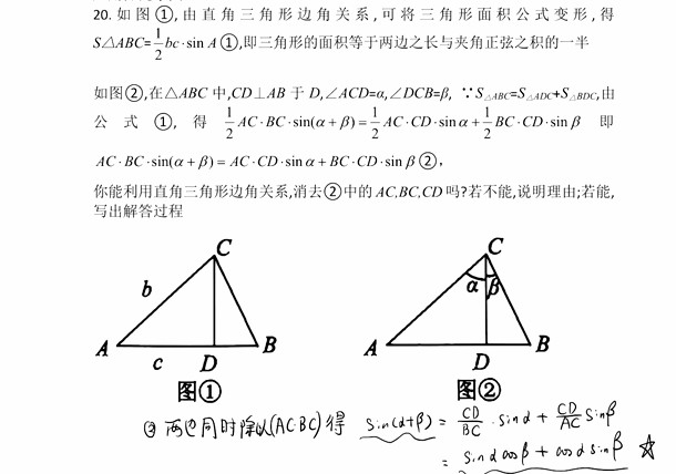 1646336691 杨琦 九年级数学新思维刷题课