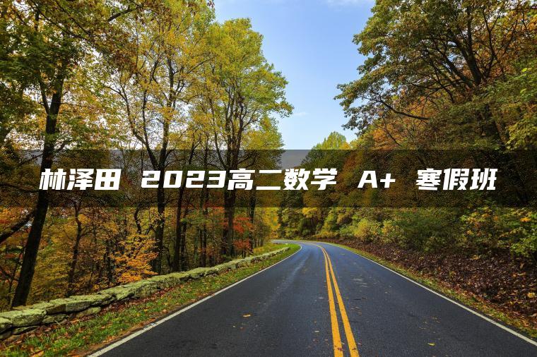 林泽田 2023高二数学 A+ 寒假班