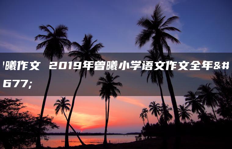 曾曦作文 2019年曾曦小学语文作文全年班