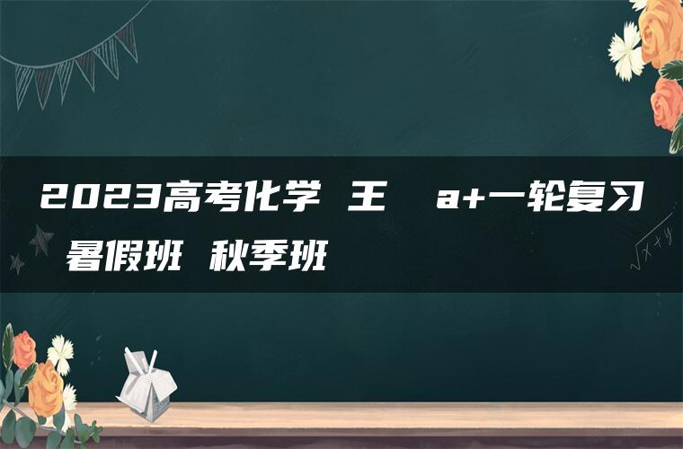 2023高考化学 王嫤 a+一轮复习 暑假班 秋季班