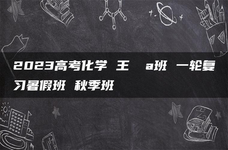 2023高考化学 王嫤 a班 一轮复习暑假班 秋季班