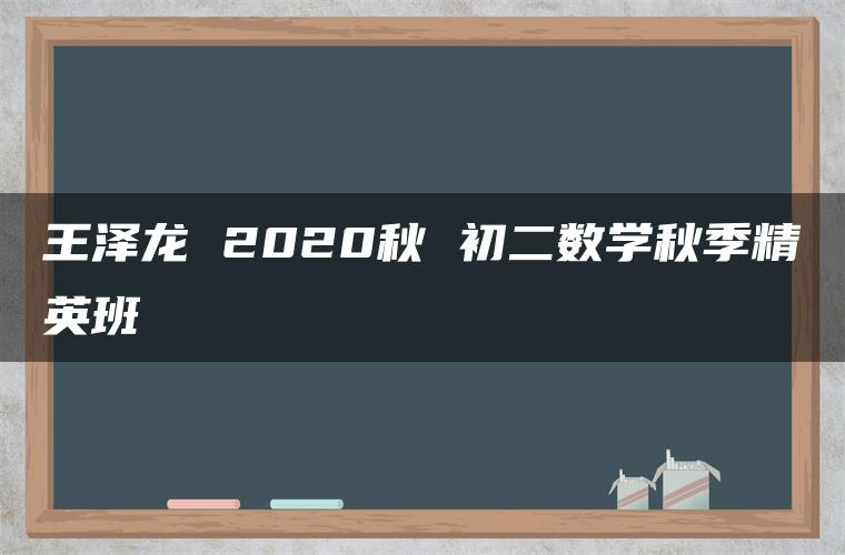 王泽龙 2020秋 初二数学秋季精英班