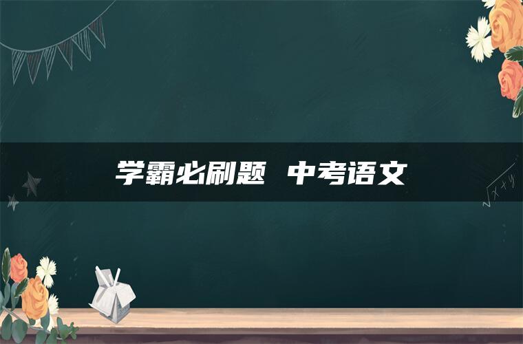 学霸必刷题 中考语文