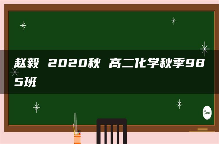 赵毅 2020秋 高二化学秋季985班