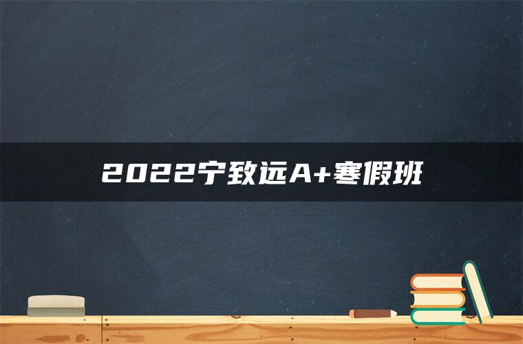 2022宁致远A+寒假班