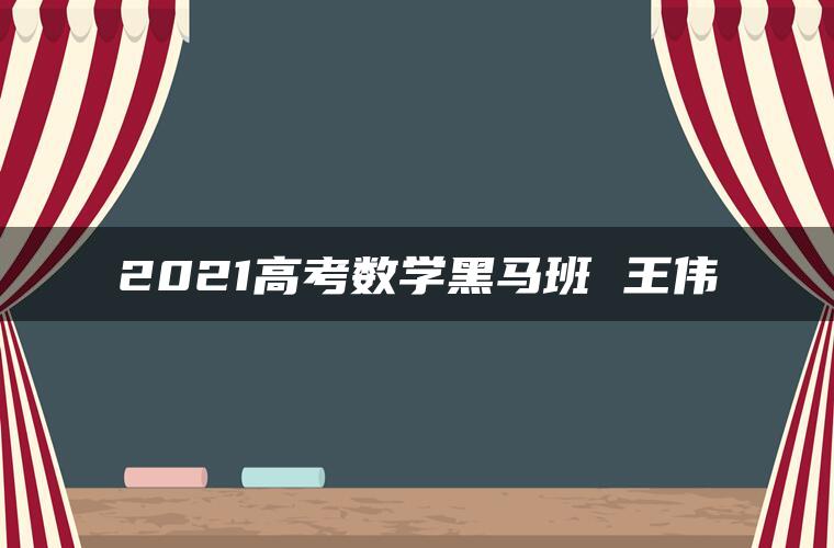 2021高考数学黑马班 王伟