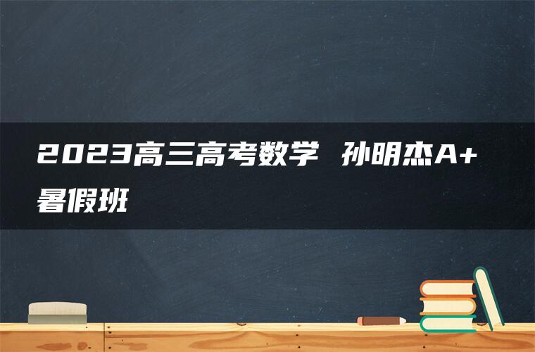 2023高三高考数学 孙明杰A+ 暑假班