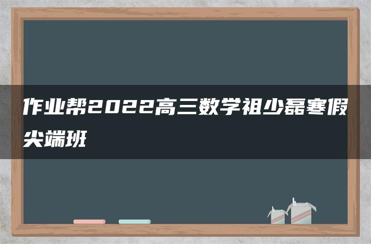 作业帮2022高三数学祖少磊寒假尖端班