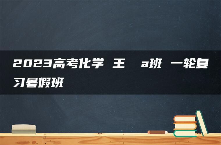 2023高考化学 王嫤 a班 一轮复习暑假班