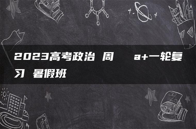 2023高考政治 周嶠矞 a+一轮复习 暑假班