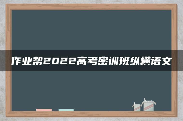 作业帮2022高考密训班纵横语文