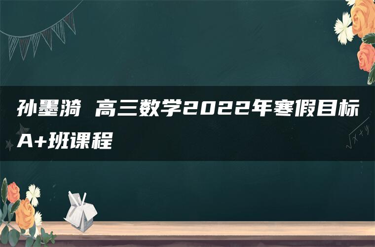 孙墨漪 高三数学2022年寒假目标A+班课程