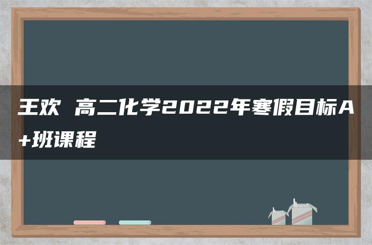 王欢 高二化学2022年寒假目标A+班课程