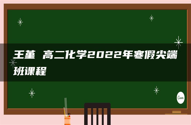 王堇 高二化学2022年寒假尖端班课程