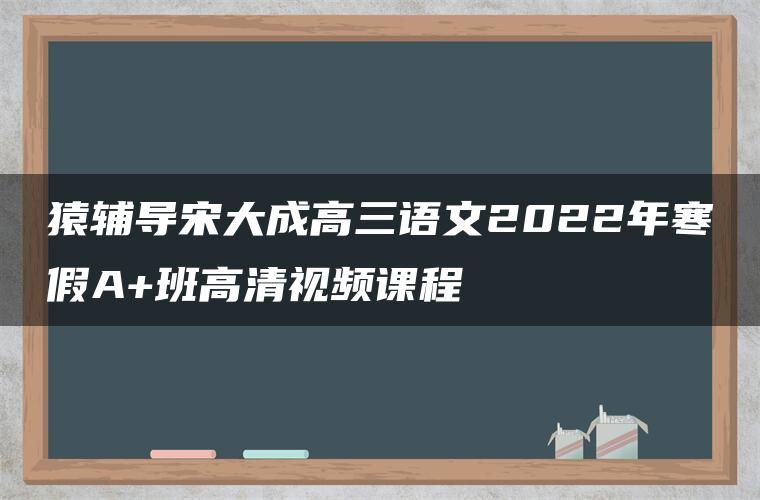 猿辅导宋大成高三语文2022年寒假A+班高清视频课程