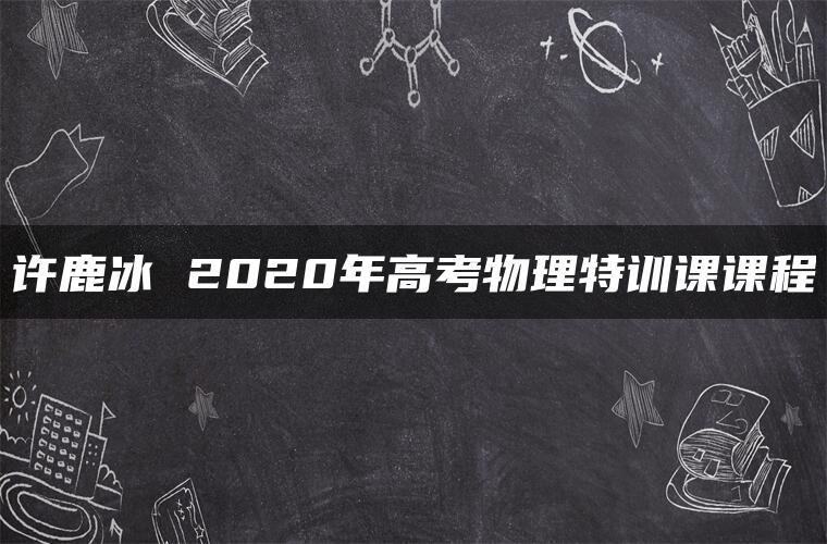 许鹿冰 2020年高考物理特训课课程