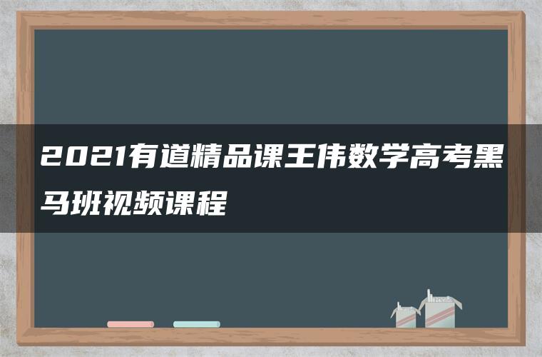 2021有道精品课王伟数学高考黑马班视频课程