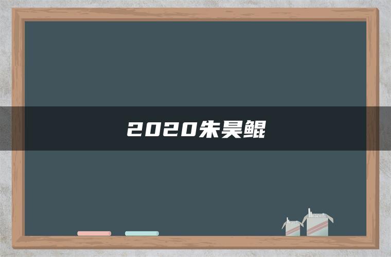 2020朱昊鲲