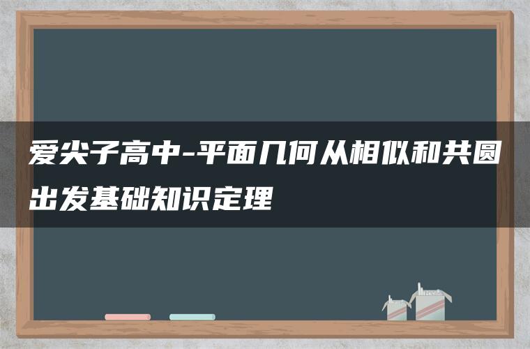 爱尖子高中-平面几何从相似和共圆出发基础知识定理