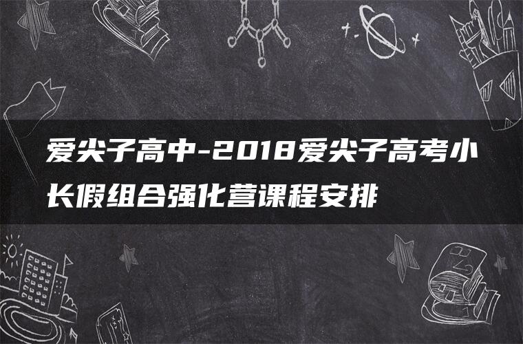 爱尖子高中-2018爱尖子高考小长假组合强化营课程安排